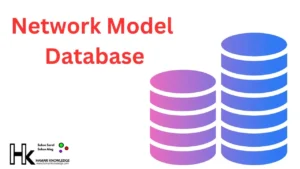 Network Model Database